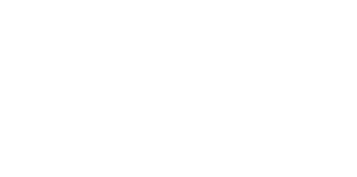 object